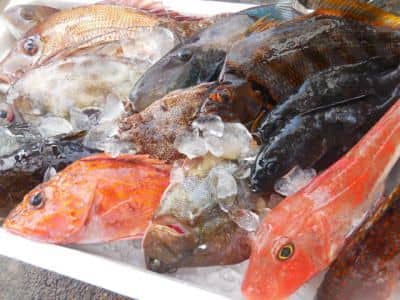 鮮魚詰め合わせ1