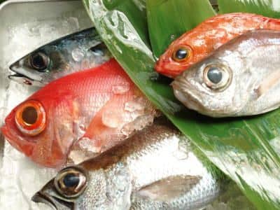 鮮魚セット3