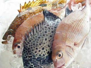 鮮魚セット