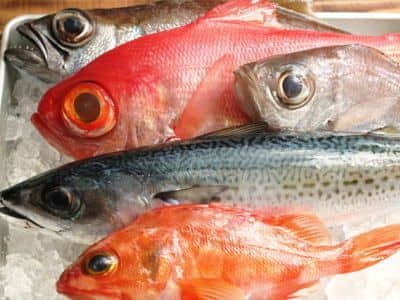 室戸鮮魚セット例2