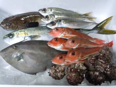 鮮魚セット2