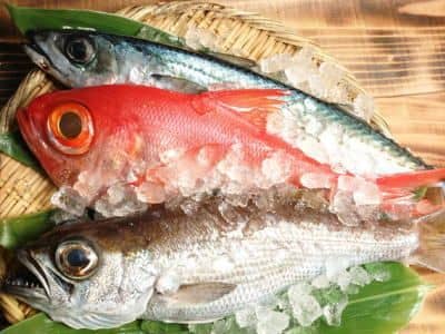 鮮魚セット3