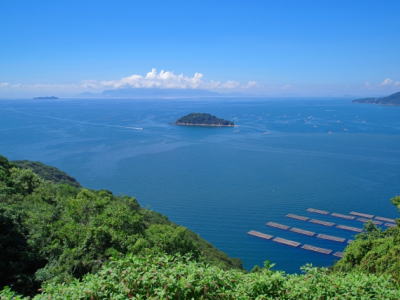 瀬戸内海播磨灘の販売鮮魚