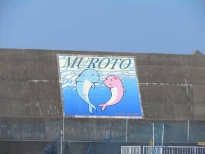 室戸岬漁港3