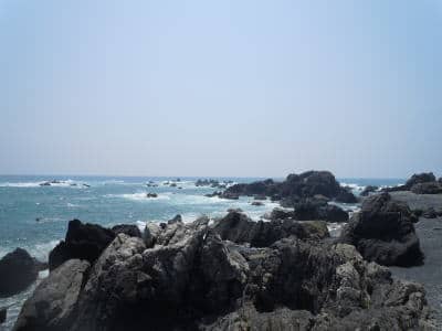室戸岬の岩場
