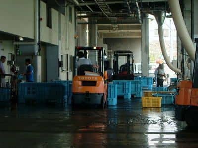 室戸室津漁港2