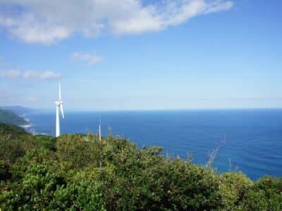 高知県室戸岬の販売鮮魚