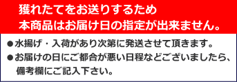 発送日程