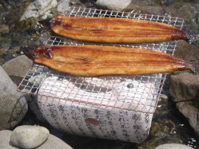 ウナギの蒲焼