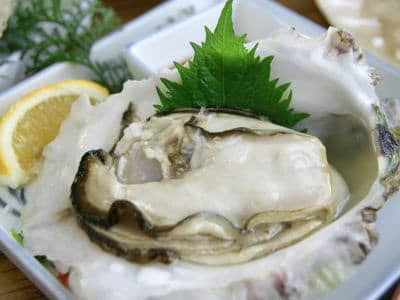 日本海山陰産岩ガキ