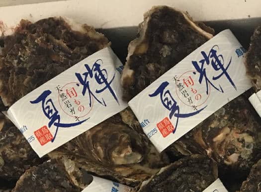 鳥取産夏輝ラベル付岩ガキ