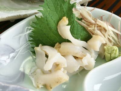 鳥取県白バイ貝