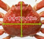 �I�I�Y���C�K�j