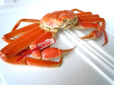 鳥取県産松葉がに画像