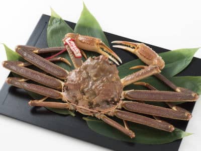 鳥取産タグ付活松葉ガニ全体2