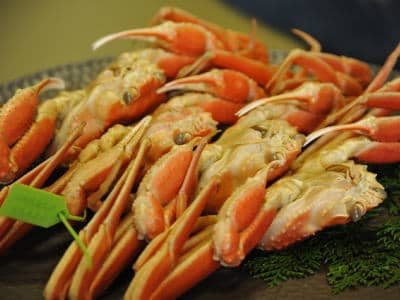 香住漁港産タグ付松葉ガニ