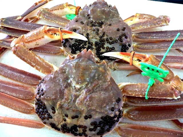 タグ付松葉がに