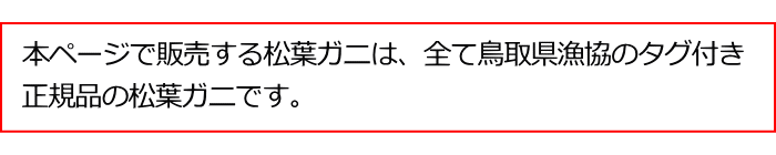 鳥取県産タグ付松葉ガニです。